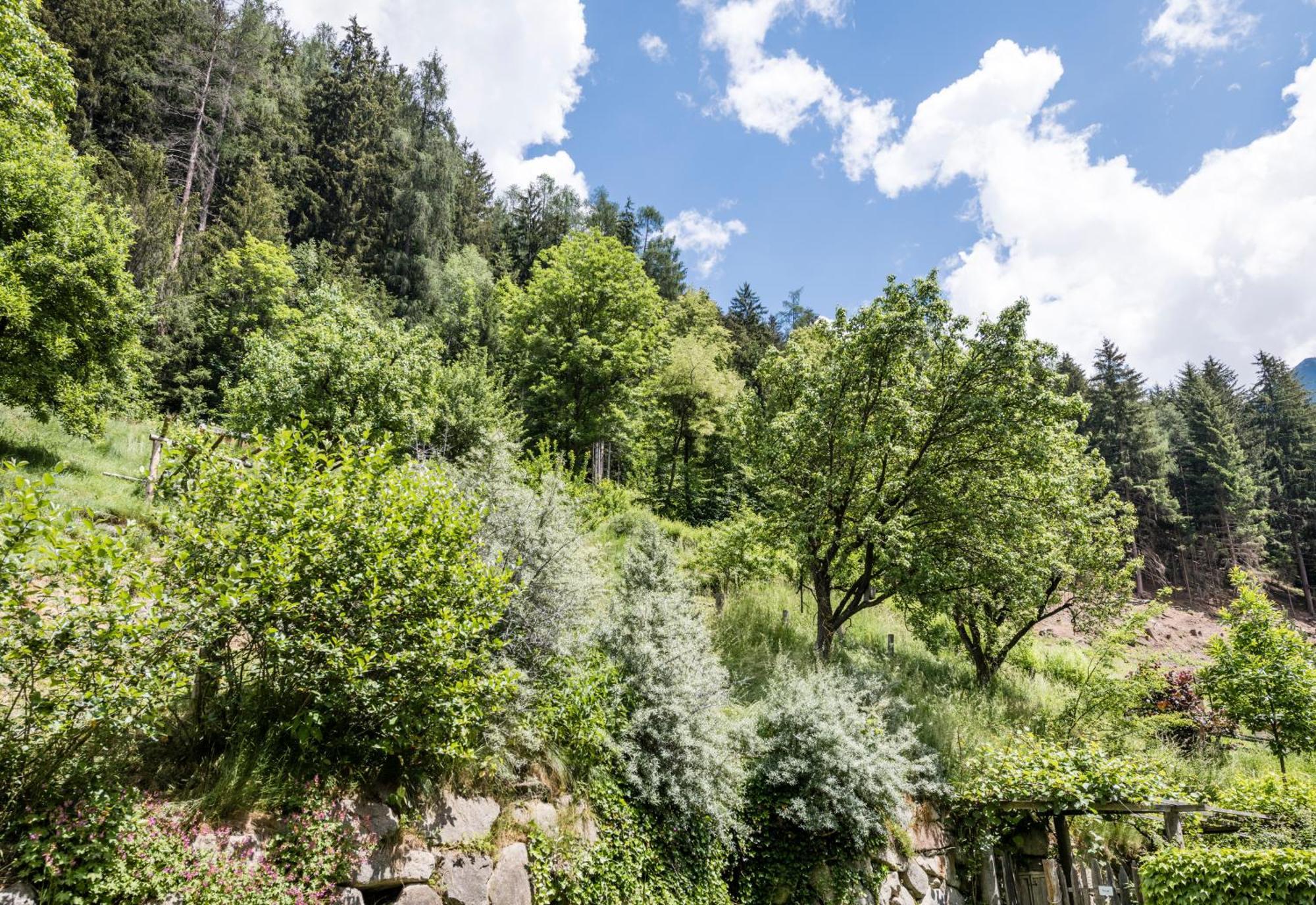 Naturresidenz Mair Zu Hof Campo Tures Exterior photo